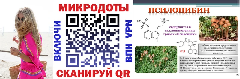 наркошоп Спас-Клепики Галлюциногенные грибы Magic Shrooms